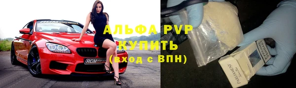стаф Краснослободск