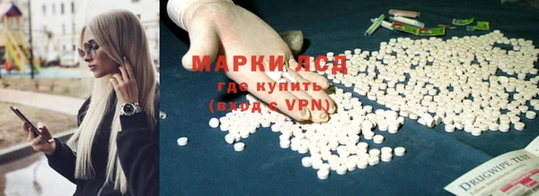 крисы Коряжма