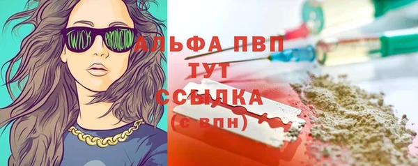 крисы Коряжма