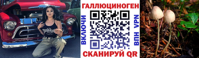МЕГА как войти Алагир Галлюциногенные грибы GOLDEN TEACHER дарнет шоп